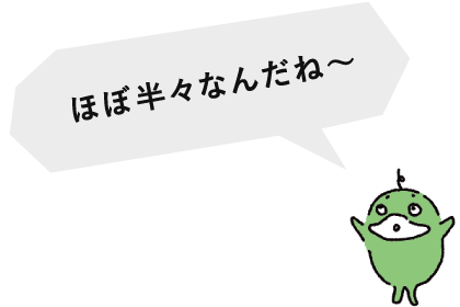 ほぼ半々なんだね〜